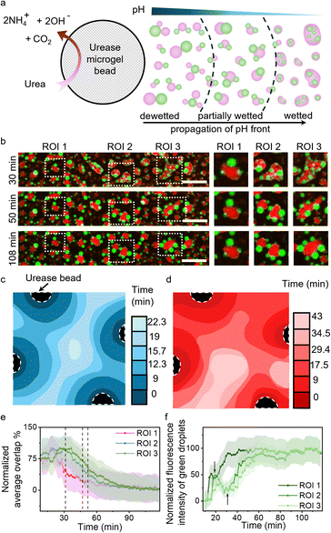 image file: d5sc07783d-f4.tif