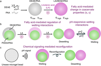 image file: d5sc07783d-s1.tif