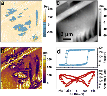 image file: d5sc07784b-f2.tif