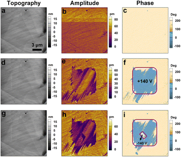 image file: d5sc07784b-f3.tif