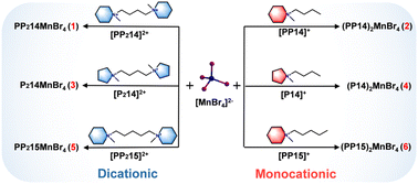 image file: d5sc07813j-s1.tif