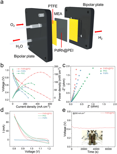 image file: d5sc07852k-f5.tif