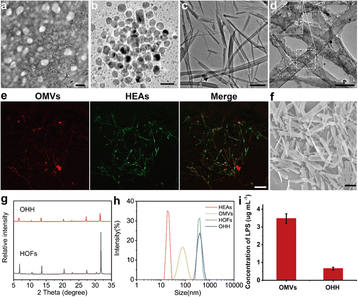 image file: d5sc07867a-f1.tif
