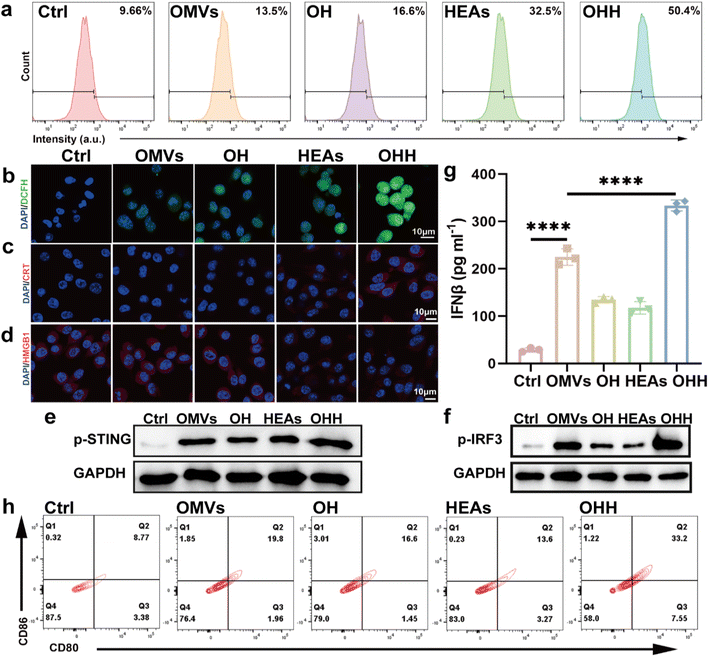 image file: d5sc07867a-f4.tif