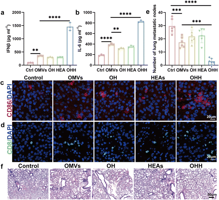 image file: d5sc07867a-f7.tif