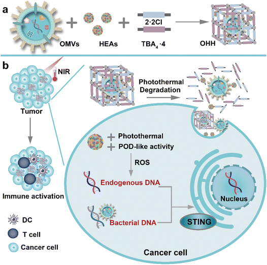 image file: d5sc07867a-s1.tif
