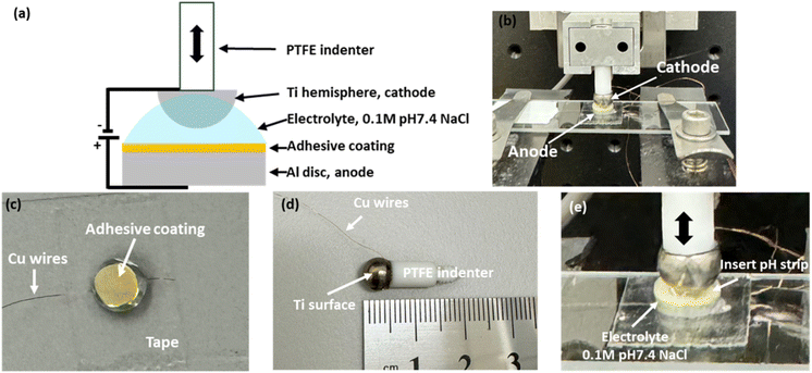 image file: d5sc07881d-f2.tif