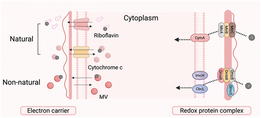 image file: d5sc07884a-f3.tif