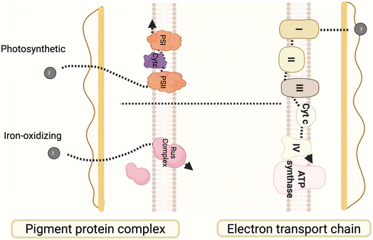image file: d5sc07884a-f5.tif