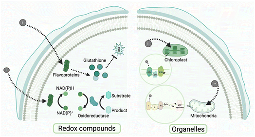 image file: d5sc07884a-f6.tif