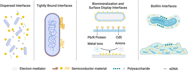 image file: d5sc07884a-f8.tif