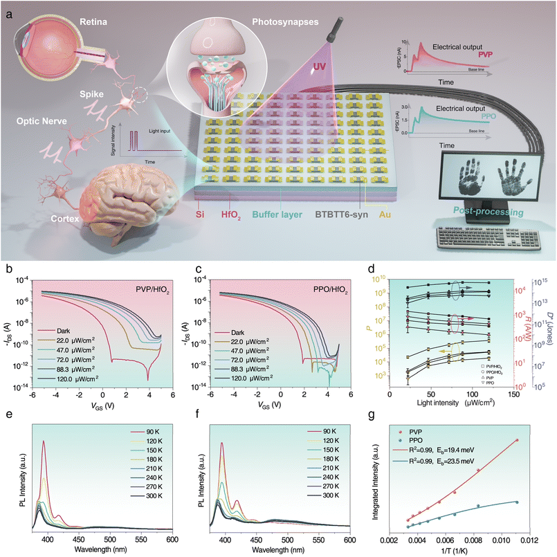image file: d5sc07902k-f1.tif