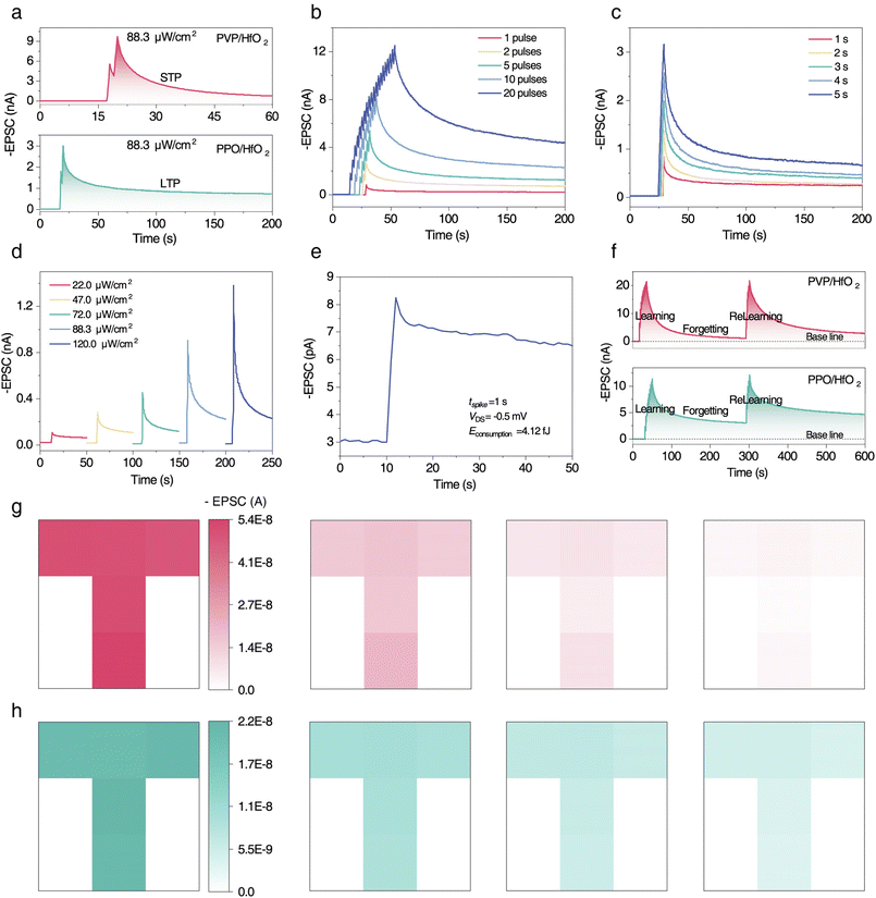 image file: d5sc07902k-f3.tif