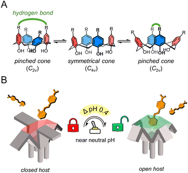 image file: d5sc07965a-s1.tif