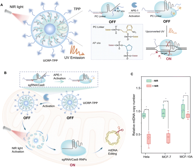 image file: d5sc07976d-f1.tif