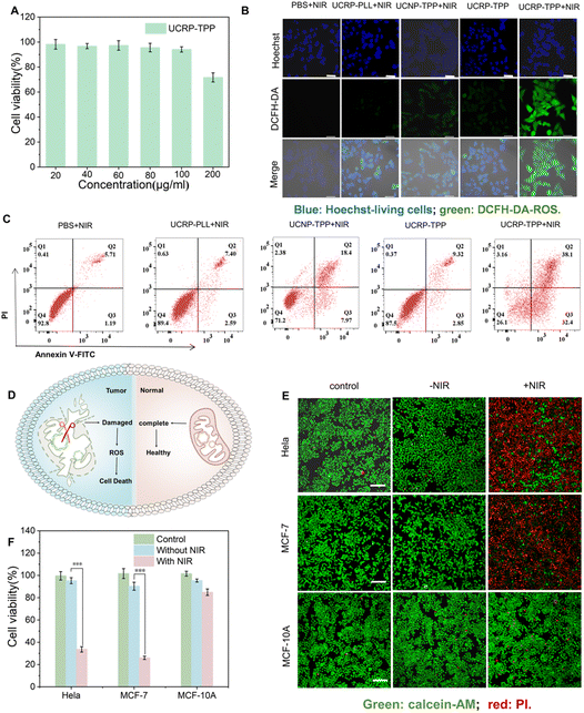 image file: d5sc07976d-f5.tif