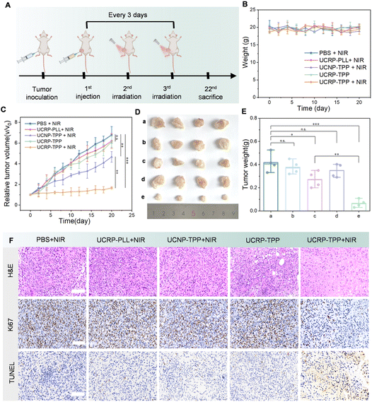 image file: d5sc07976d-f6.tif