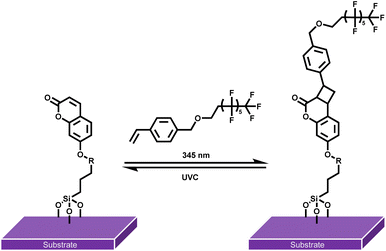 image file: d5sc07978k-s1.tif
