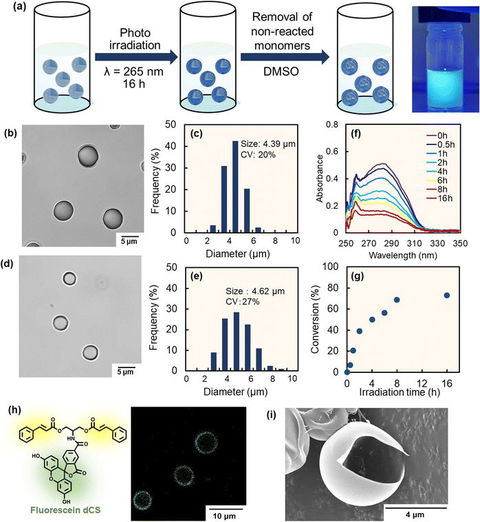 image file: d5sc07979a-f1.tif
