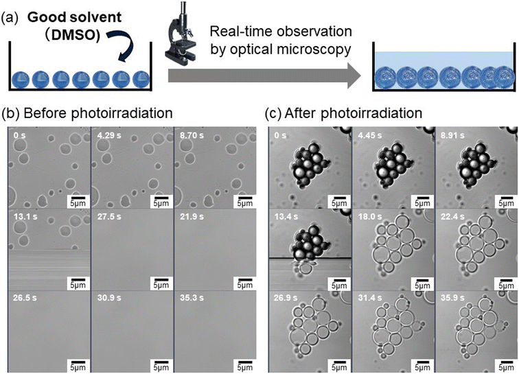 image file: d5sc07979a-f2.tif