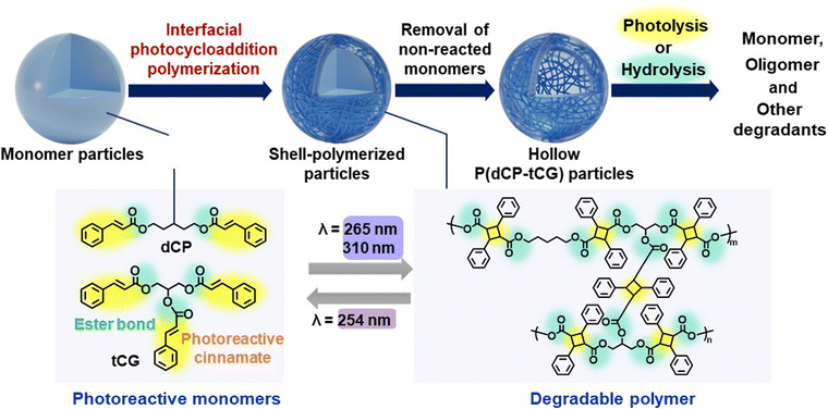image file: d5sc07979a-s1.tif