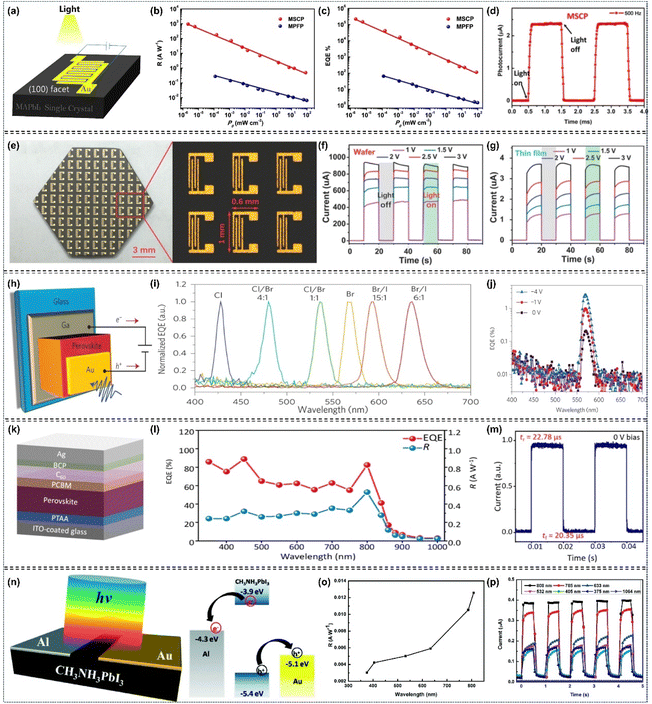 image file: d5sc08028b-f15.tif