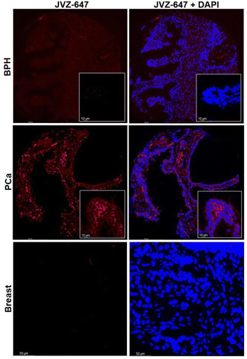 image file: d5sc08044d-f4.tif