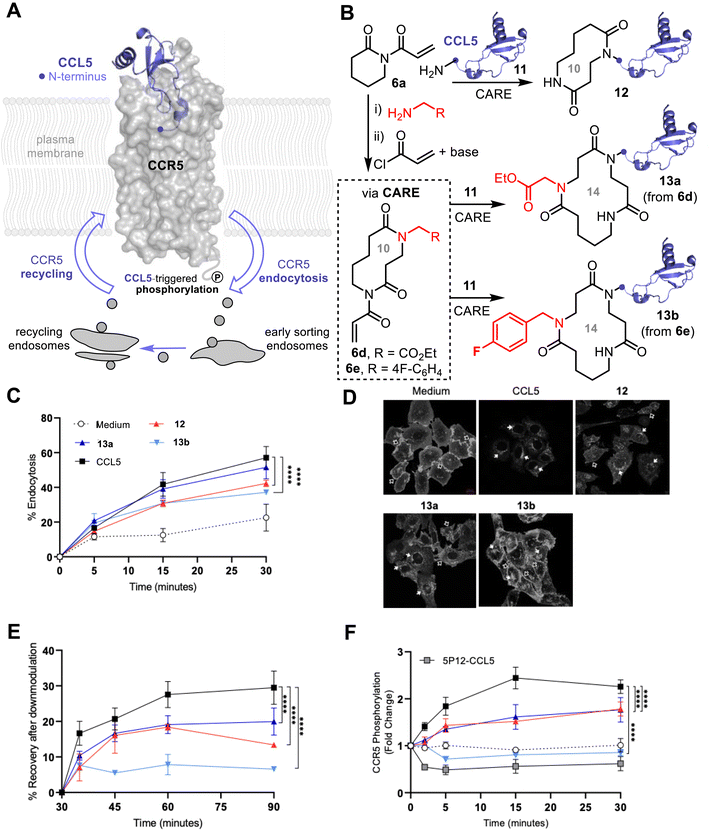 image file: d5sc08044d-f5.tif