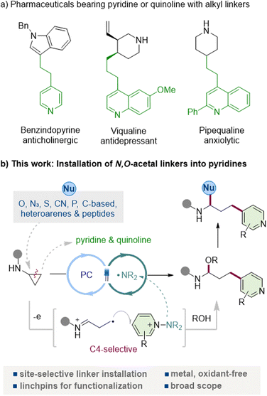 image file: d5sc08055j-f1.tif