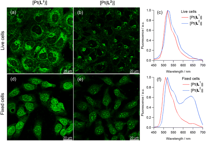 image file: d5sc08064a-f3.tif