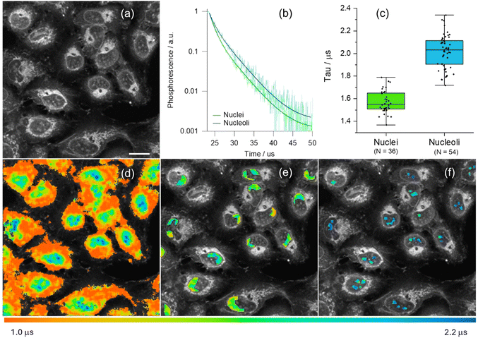 image file: d5sc08064a-f4.tif