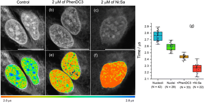 image file: d5sc08064a-f5.tif