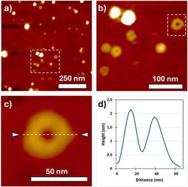 image file: d5sc08070c-f5.tif