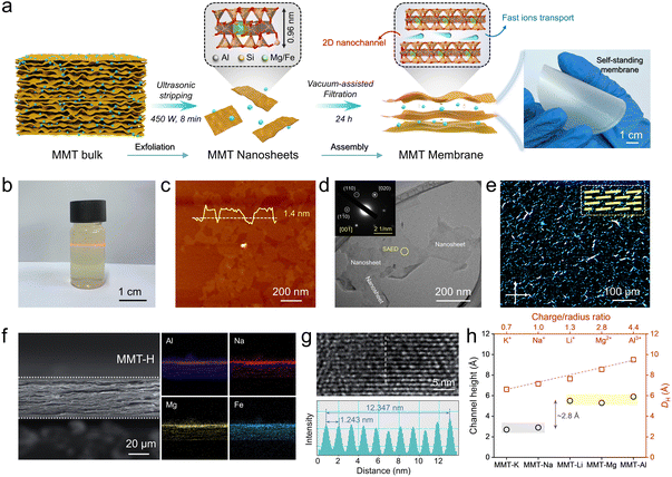 image file: d5sc08076b-f1.tif