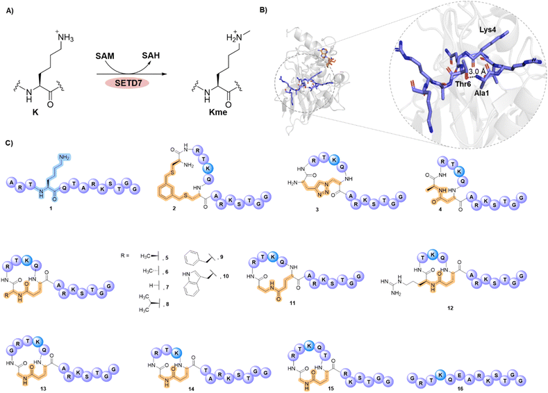 image file: d5sc08094k-f1.tif