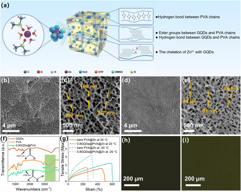 image file: d5sc08142d-f2.tif