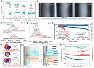 image file: d5sc08154h-f7.tif