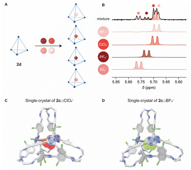 image file: d5sc08157b-f4.tif