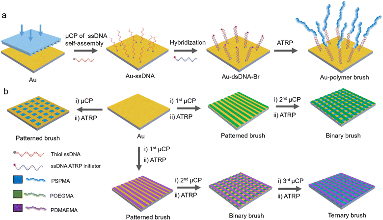 image file: d5sc08183a-f1.tif