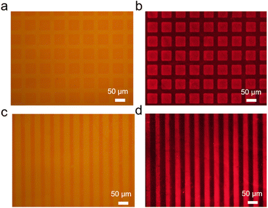 image file: d5sc08183a-f2.tif