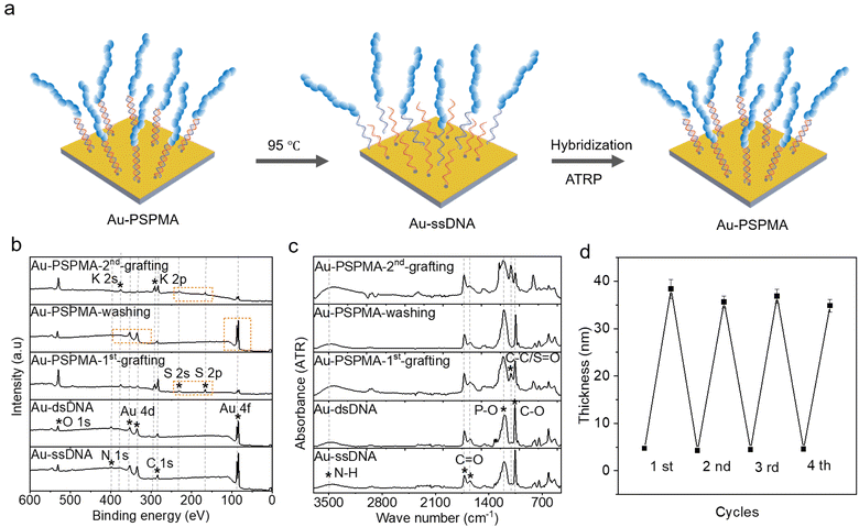 image file: d5sc08183a-f4.tif