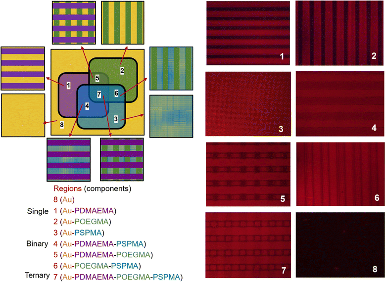 image file: d5sc08183a-f6.tif