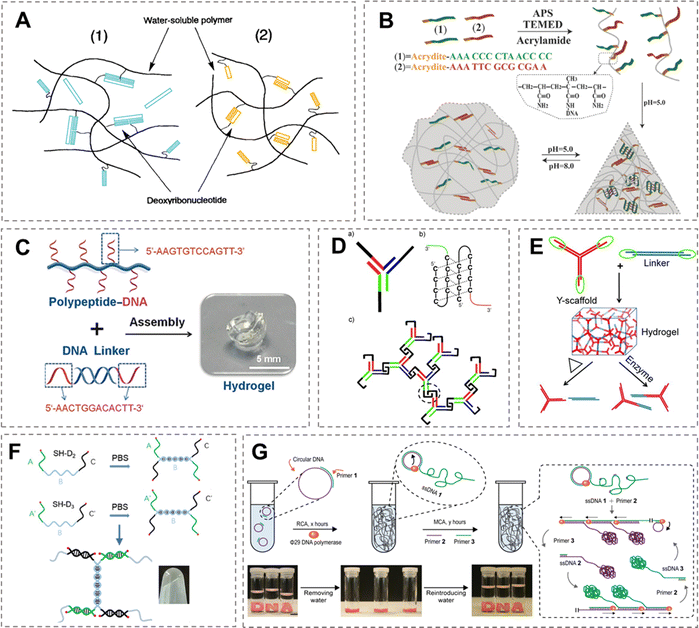 image file: d5sc08190d-f1.tif
