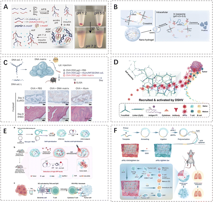 image file: d5sc08190d-f3.tif