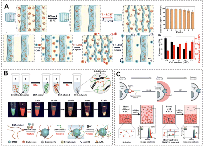 image file: d5sc08190d-f5.tif