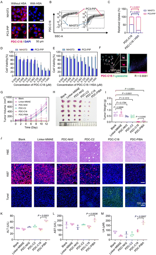 image file: d5sc08259e-f5.tif
