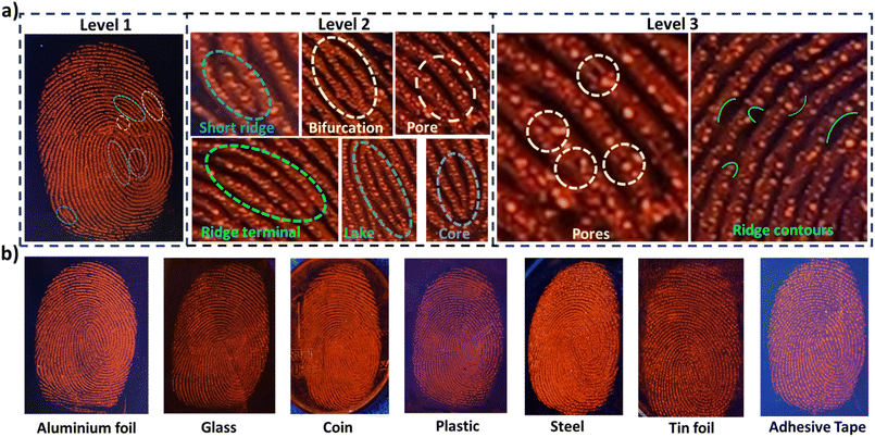 image file: d5sc08281a-f5.tif