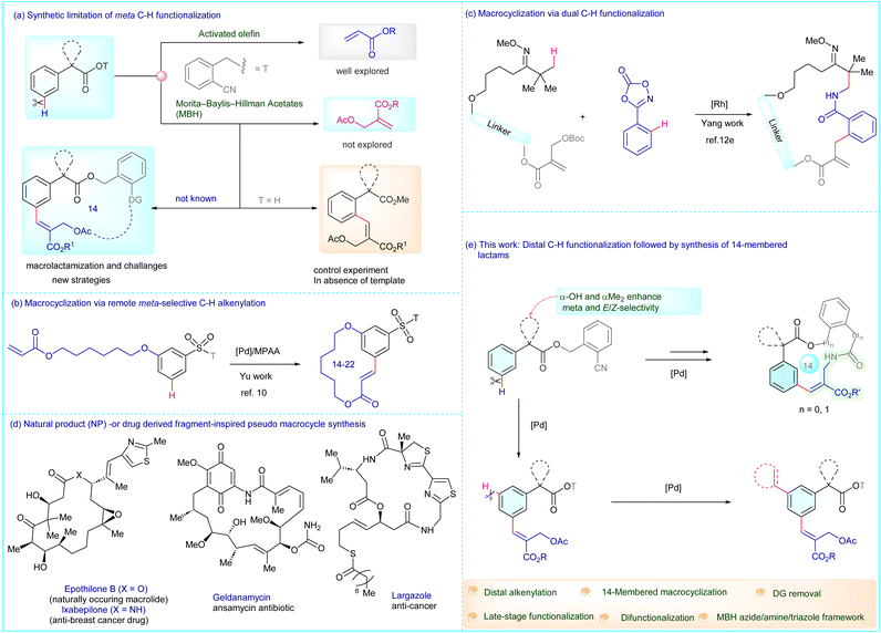 image file: d5sc08286b-f1.tif