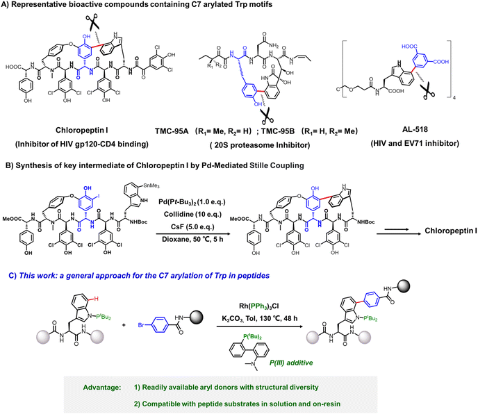 image file: d5sc08312e-f1.tif