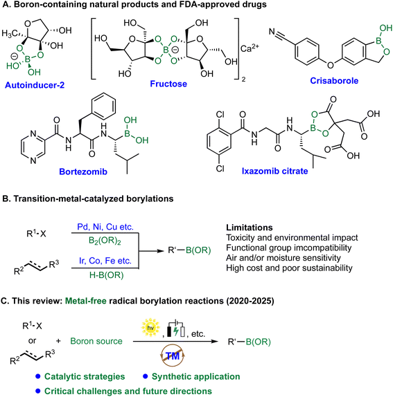 image file: d5sc08322b-s1.tif